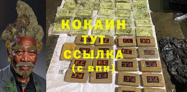 гидра Козельск