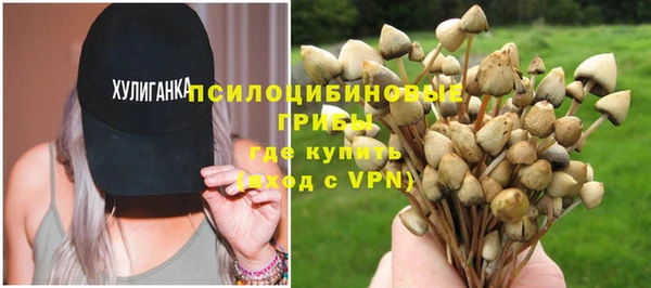 гидра Козельск